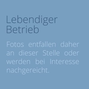 Lebendiger Betrieb Objektvermittlung